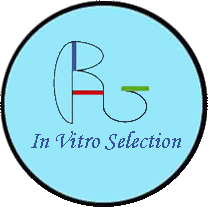 In Vitro Selection